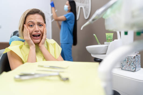 Best Emergency Dental Services for Seniors in Bellview, FL